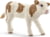 Product image of Schleich 13802 1