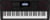 Casio CT-X3000C7 tootepilt 1