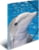 Herma 7146 tootepilt 1