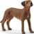 Product image of Schleich 13895 1