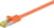 Wentronic 91579 tootepilt 1