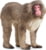 Product image of Schleich 14871 1