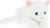 Keel Toys EK2281K tootepilt 2